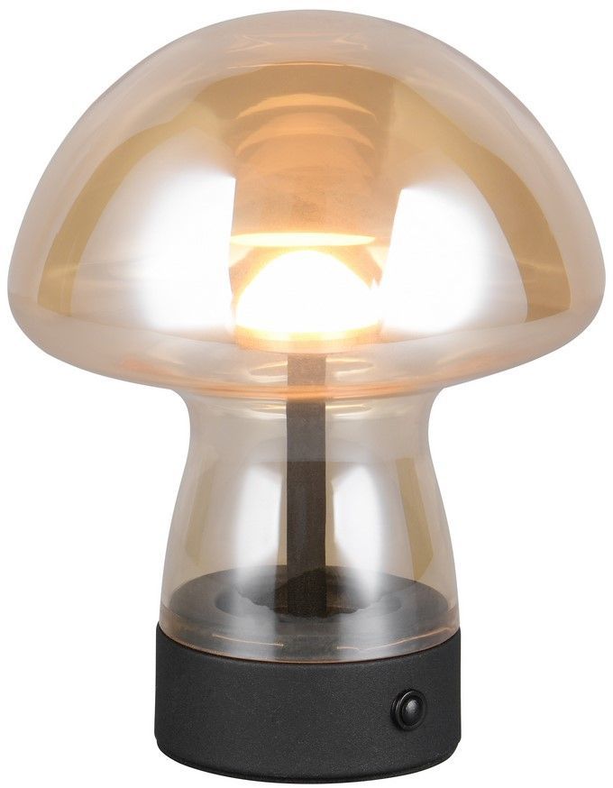 DOOLEY-R54981113-TRIO-243928