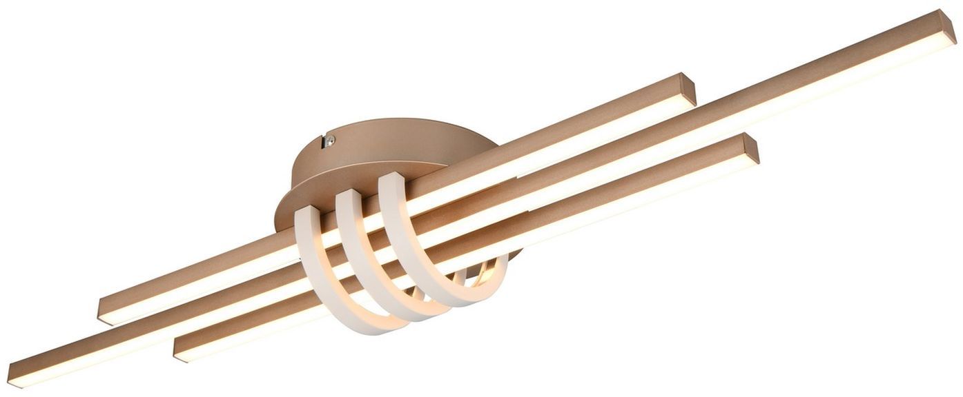 CINTO-R67873165-TRIO-243297