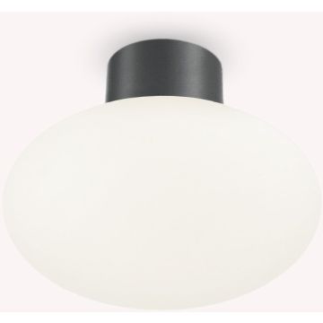 Plafonlámpa CLIO 148861 1x42W/E27 ip44 a Ideal Lux-tól