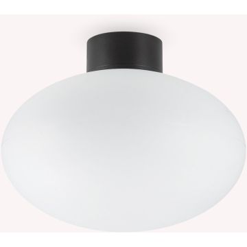 Plafonlámpa CLIO 148878 1x42W/E27 ip44 a Ideal Lux-tól
