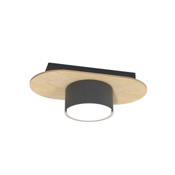 Plafonlámpa DIAZ 1438/1 1x10W/GX53 IP20 a Emibig-tól