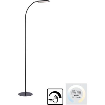 Állólámpa KELLY 14406-18 3000-6000k 1x10W/LED 1180lm ip20 a Paul Neuhaus-tól