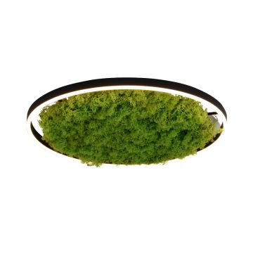 Plafonlámpa GREEN RITUS 15392-66 3000k 1x28W/LED 960lm ip20 a Paul Neuhaus-tól