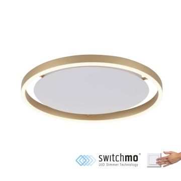 Süllyesztett mennyezeti lámpa RITUS 15391-60 3000K 1x20W/LED 1060LM IP20 a Paul Neuhaus-tól
