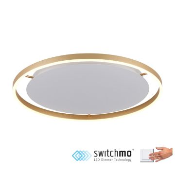 Süllyesztett mennyezeti lámpa RITUS 15392-60 3000K 1x28W/LED 1550LM IP20 a Paul Neuhaus-tól