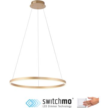 Függőlámpa RITUS 15394-60 3000k 1x31,5W/LED 3650lm ip20 a Paul Neuhaus-tól