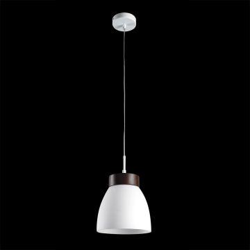 Függőlámpa FOCUS 18069 E27 1x40W/E27 a Prezent-tól