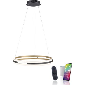 Függőlámpa Q-BELUGA 2051-60 2700-5000k 1x62W/LED 6900lm ip20 a Paul Neuhaus-tól