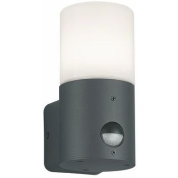 Fali lámpa HOOSIC 222260142 1x28w/e27 ip44 a Trio-tól