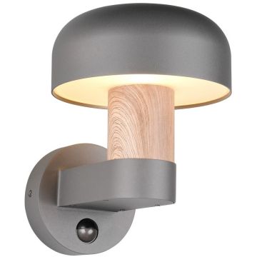 Fali lámpa FRASER 262569135 1x10w/e27 ip54 a Trio-tól