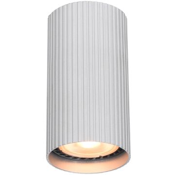 Felületi spotlámpa Rilok CLN-83920-S-ALU 1x10W/GU10 IP20 a Italux-tól