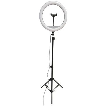 Asztali lámpa SELFIE 327598 2700K-4000K-6000K 15W 1x15W/LED 330lm a Polux-tól