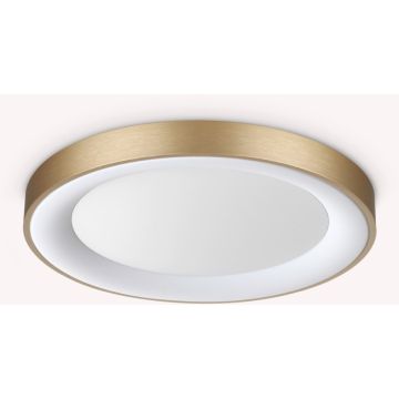 Süllyesztett mennyezeti lámpa PLANET 370637 1x25W/LED ip20 a Ideal Lux-tól