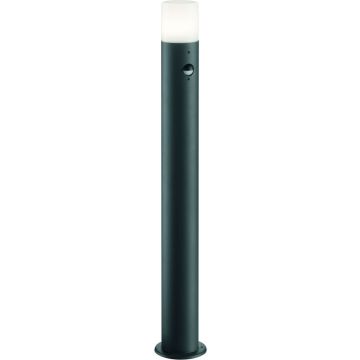 Állólámpa HOOSIC 422260142 1x28w/e27 ip44 a Trio-tól