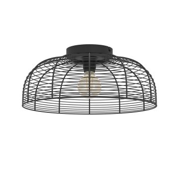Plafonlámpa RINROE 43896 1x40W/E27 ip20 a Eglo-tól