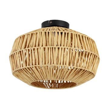 Plafonlámpa SHELDON 44142 1x40W/E27 ip20 a Eglo-tól