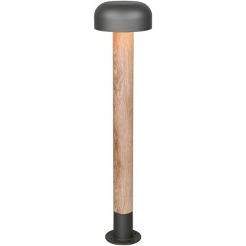 Állólámpa FRASER 462560135 1x10w/e27 ip54 a Trio-tól
