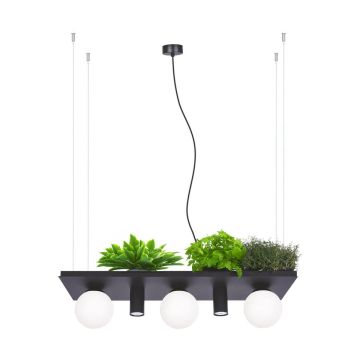 Függőlámpa PLANT 5555 40W/3xE14|2xgu10 IP20 a Zuma Line-tól