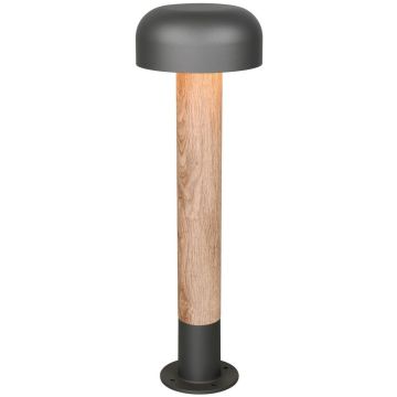 Állólámpa FRASER 562560135 1x10w/e27 ip54 a Trio-tól
