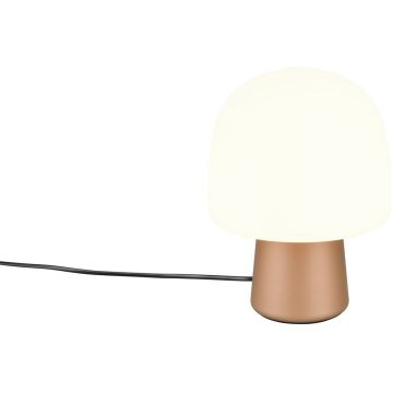 Asztali lámpa STEEN 568200165 1x10w/e14 ip20 a Trio-tól