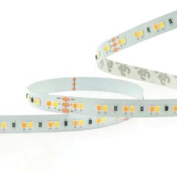 LED szalag LED STRIP LS06 IP20 a Zambelis-tól