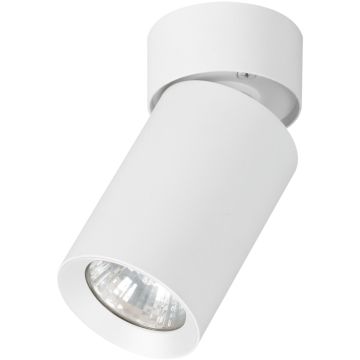 Felületi spotlámpa FLEX 59026 1x10W/GU10 1x10W/GU10 a Alfa-tól