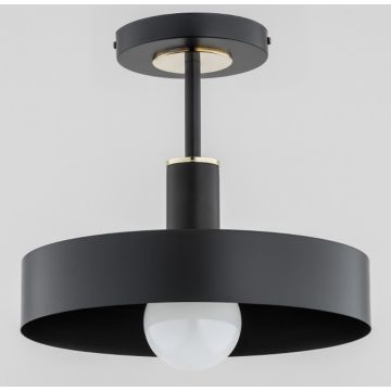 Plafonlámpa BERYT 60976 1x60W/E27 IP20 a Alfa-tól