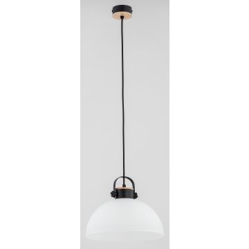Függőlámpa BOLO 60605 1x60W/E27 a Alfa-tól