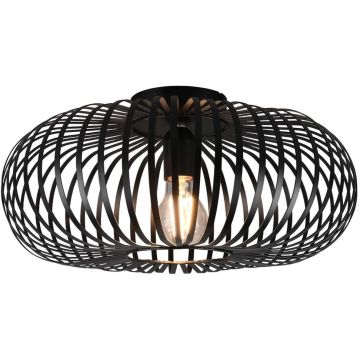 Plafonlámpa JOHANN 606900132 1x60w/e27 ip20 a Trio-tól