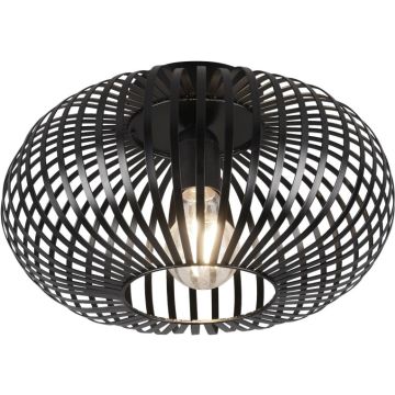 Plafonlámpa JOHANN 606903032 1x60w/e27 ip20 a Trio-tól
