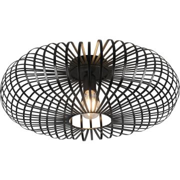 Plafonlámpa JOHANN 606905032 1x60w/e27 ip20 a Trio-tól