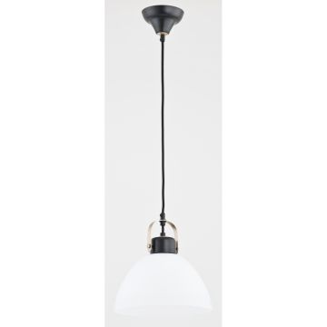 Függőlámpa SARBIN 60332 1x60W/E27 a Alfa-tól