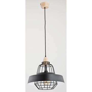 Függőlámpa TAMARIS 60220 1x60W/E27 a Alfa-tól