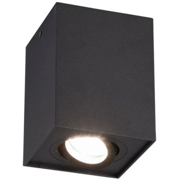 Felületi spotlámpa BISCUIT 613000132 1x35w/gu10 ip20 a Trio-tól
