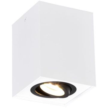 Felületi spotlámpa BISCUIT 613000134 1x35w/gu10 ip20 a Trio-tól