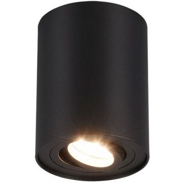 Felületi spotlámpa COOKIE 612900132 1x35w/gu10 ip20 a Trio-tól