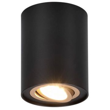 Felületi spotlámpa COOKIE 612900180 1x35w/gu10 ip20 a Trio-tól