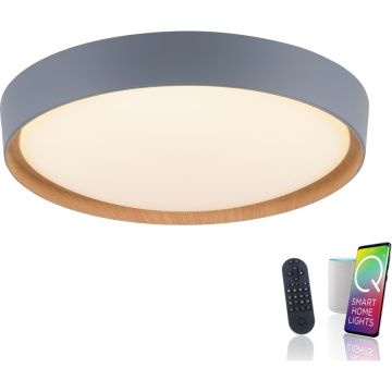 Plafonlámpa Q-EMILIA 6118-15 2700-5000k 1x40W/LED 3720lm ip20 a Paul Neuhaus-tól