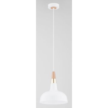 Függőlámpa RODOS 61388 15W 1x15W/E27 a Alfa-tól