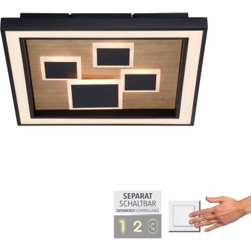 Plafonlámpa ELIZA 6283-79 3000k 1x55W/LED 5760lm ip20 a Paul Neuhaus-tól