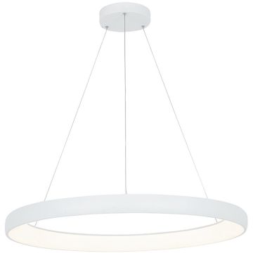 Függőlámpa PENDANT LED 2061 3000K 60W/led 4800lm IP20 a Zambelis-tól