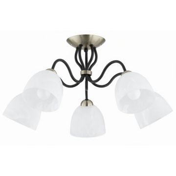 Plafonlámpa ARIEL 63428 5x15W/E27 5x15W/E27 a Alfa-tól