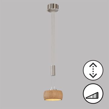 Lepel lámpa SHINE-WOOD 61075 2700K 9W 1x9W/LED 950 lm a Fischer&Honsel-tól