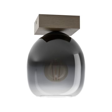 Plafonlámpa FILAGO 900825 1x40W/E27 IP20 a Eglo-tól