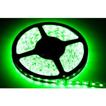 LED szalag LED STRIP EKPL884 24W/500cm IP20 a Eko-Light-tól
