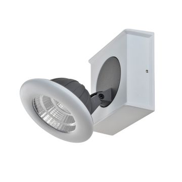 Spotlámpa CATALINA FH31781A13 1x7W/LED a Italux-tól
