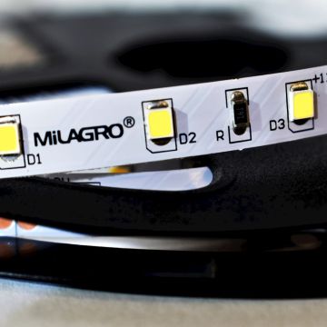 LED szalag LED STRIP ML4747 24W/500cm IP20 a Milagro-tól