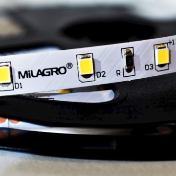 LED szalag LED STRIP ML4748 24W/500cm IP20 a Milagro-tól