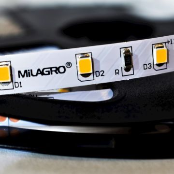 LED szalag LED STRIP ML4749 24W/500cm IP20 a Milagro-tól
