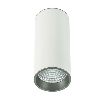 Felületi spotlámpa MOLDES SLC7392/12W 4000K WH+GR 1x12W/LED 820LM IP20 a Italux-tól